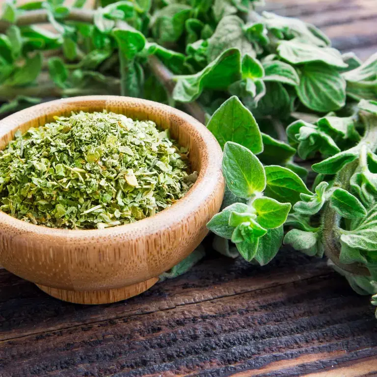 fresh-vs-dried-herbs