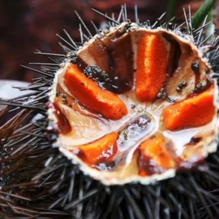 Street food in Puglia: 10 must try dishes