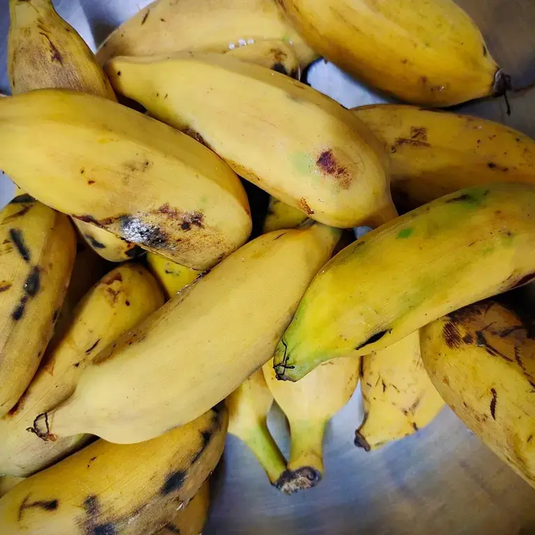 leftover-ripe-bananas