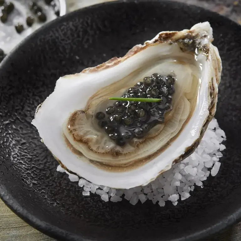 Oyster, a humble food that became luxury.