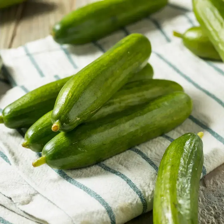 persian-cucumbers