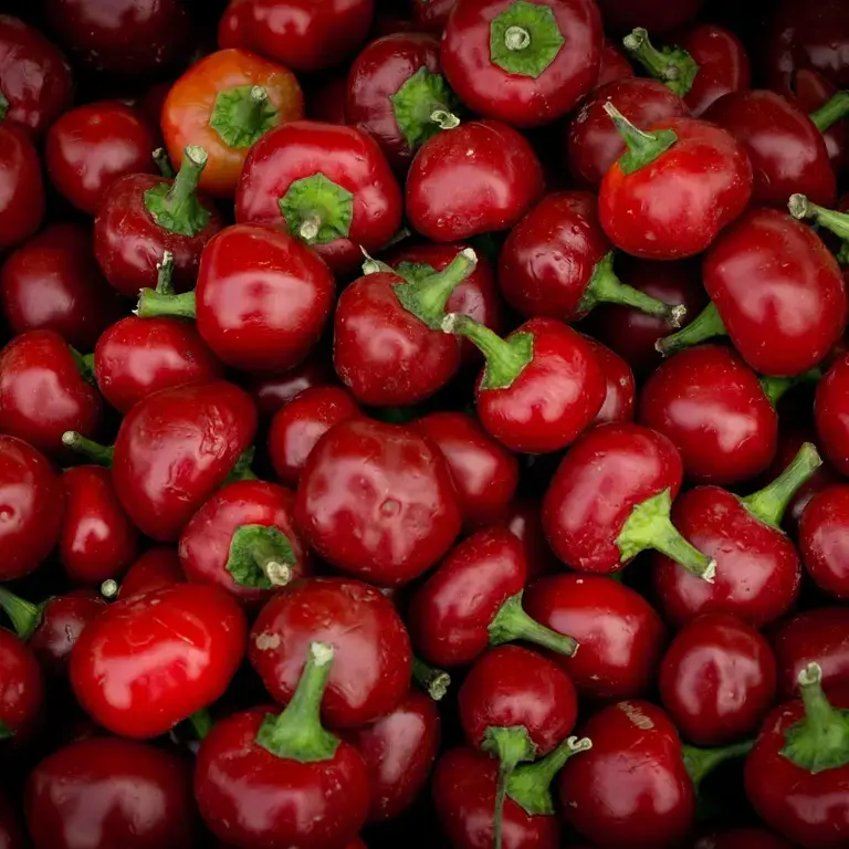 pimentos