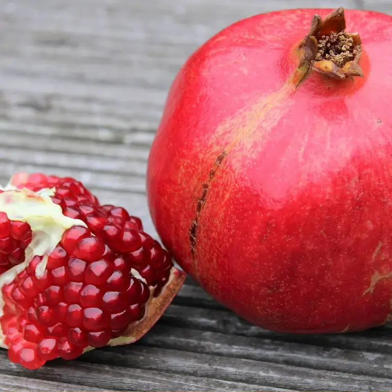 pomegranate - pixabay