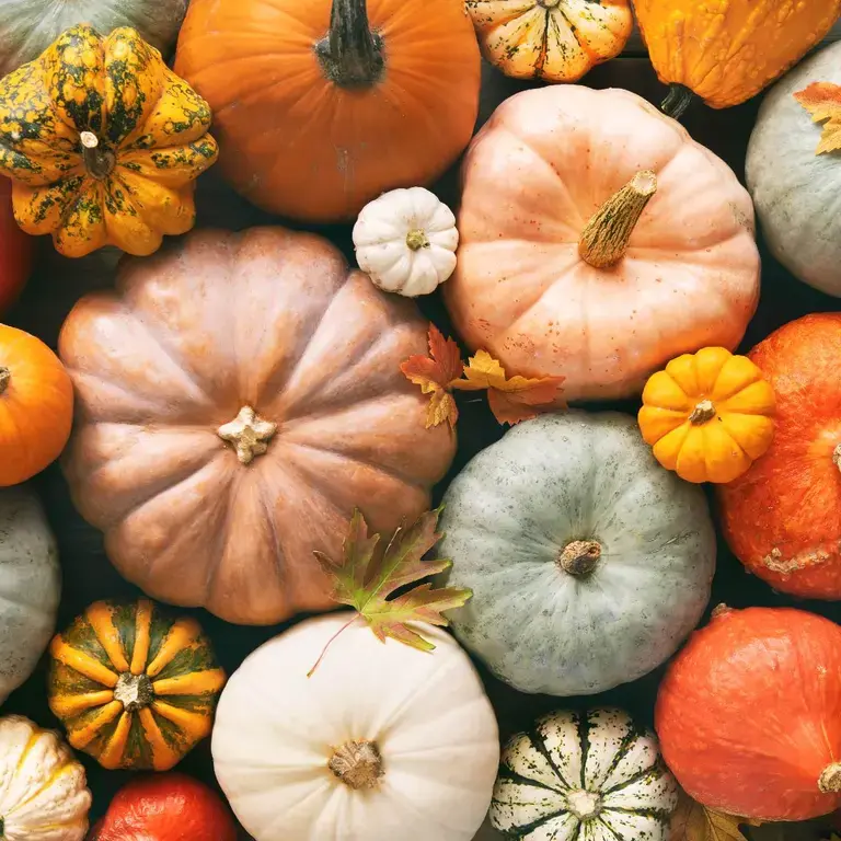 pumpkin-varieties