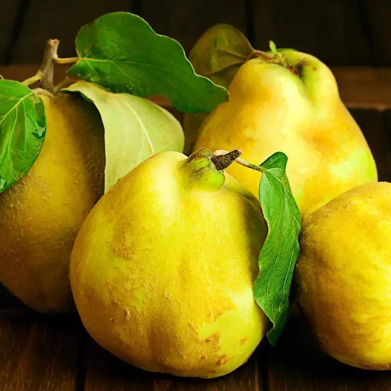 quince fruit ©iStock