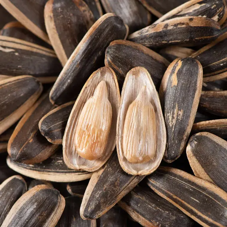 sunflower-seeds