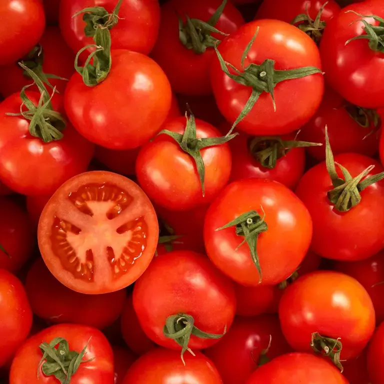 tomatoes