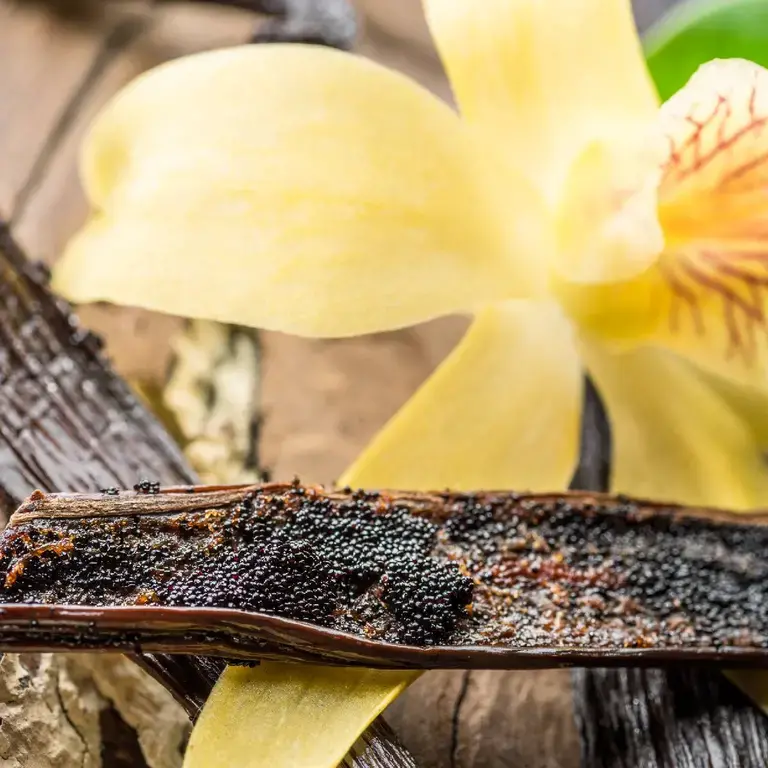 vanilla bean ©iStock