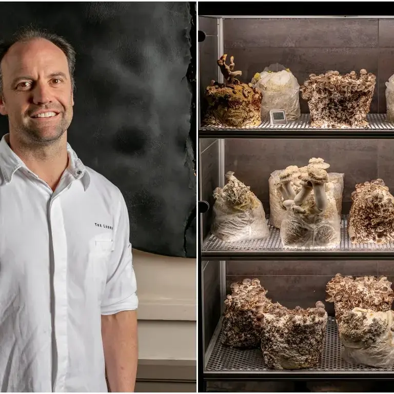 Chef Brett Graham and the mushroom cabinet at The Ledbury.