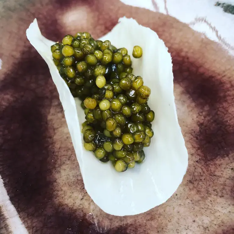 caviar-from-the-grill-asador-etxebarri
