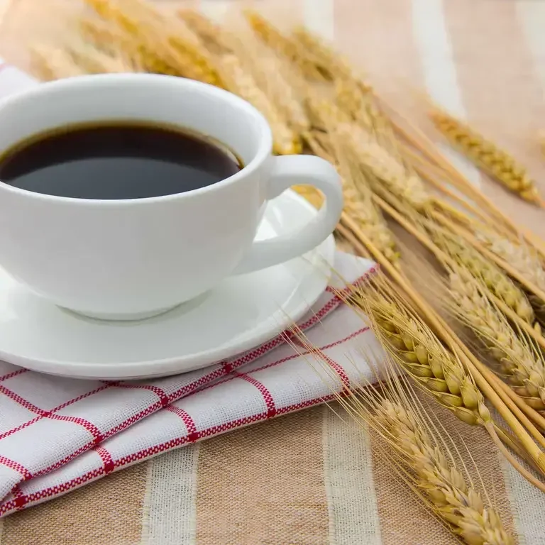 White ceramic cup of black coffee with dried barleys on the table