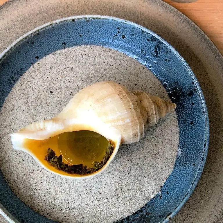 sea-snail-broth