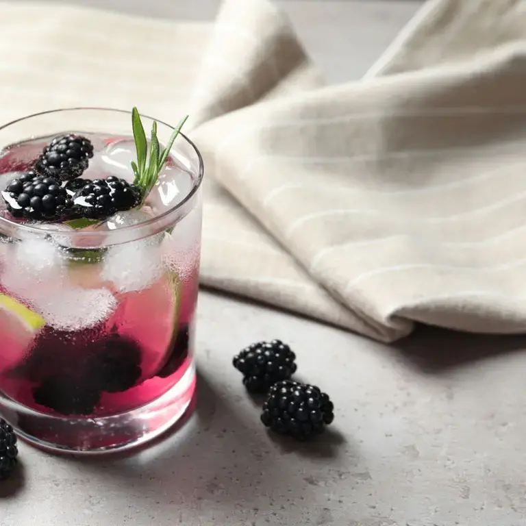 blackberry lemonade - Fine Dining Lovers