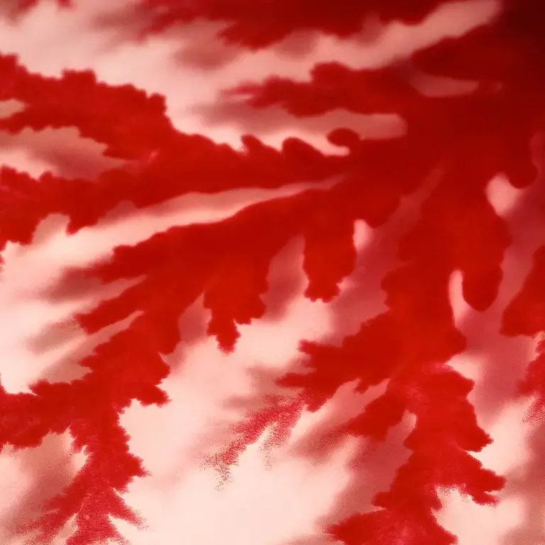 Hidromiel Y Fractal Fluido - Mead And Fractal Fluid