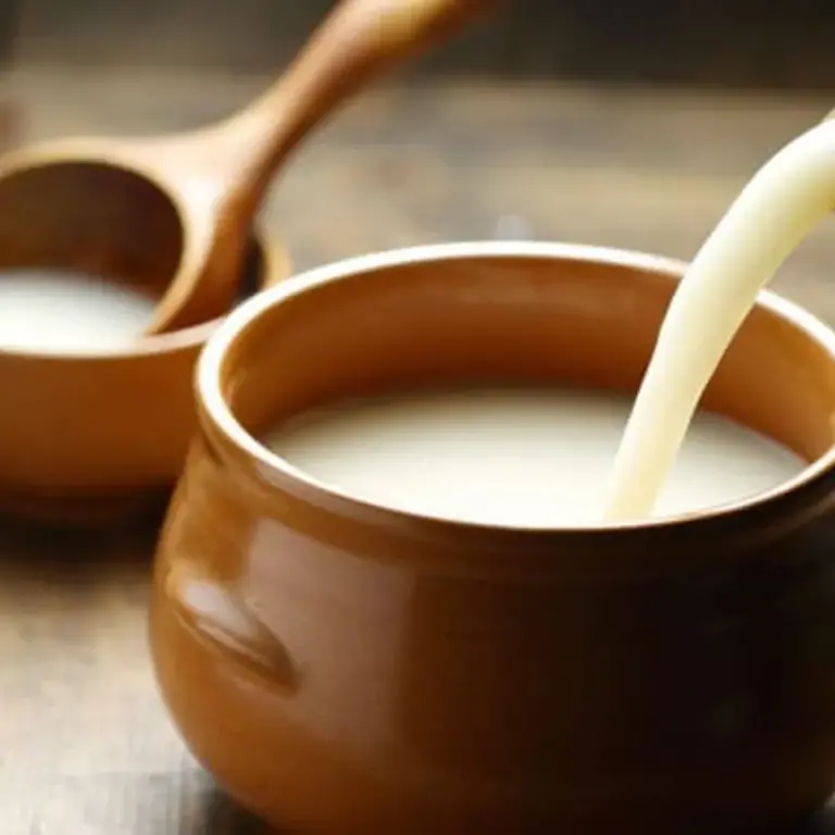 Makgeolli Rice Wine