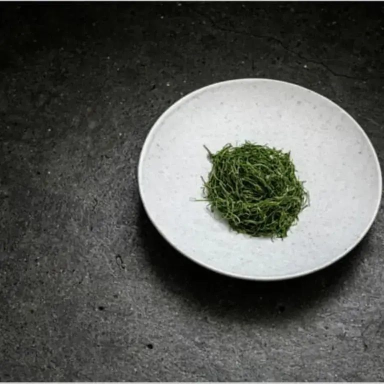 Lettuce, Smoked Almond and Olive Oil