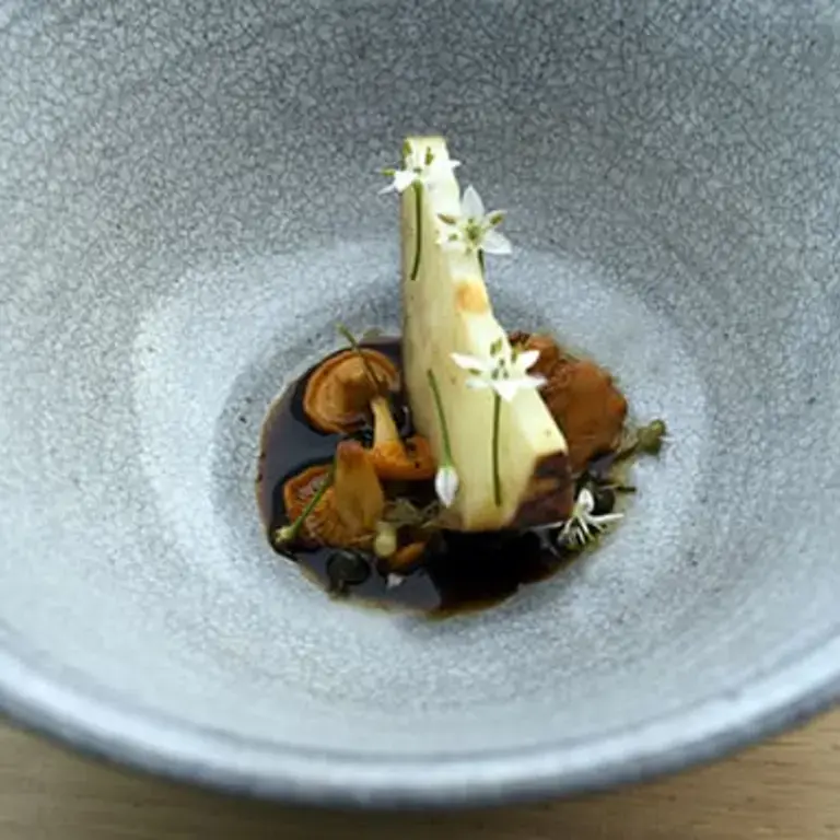 Celeriac, Chanterelle, Onion