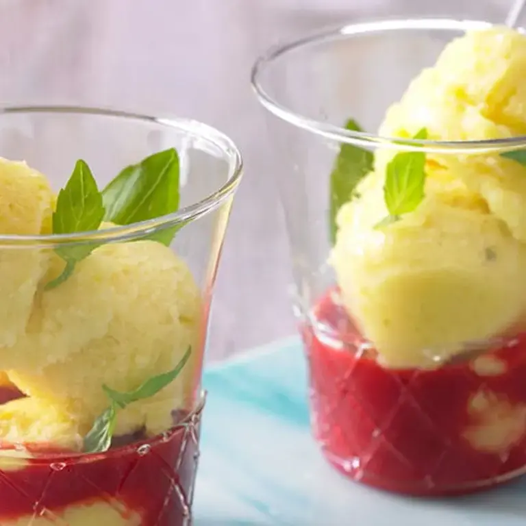 Mango Sorbet with Raspberry Sauce and Basil