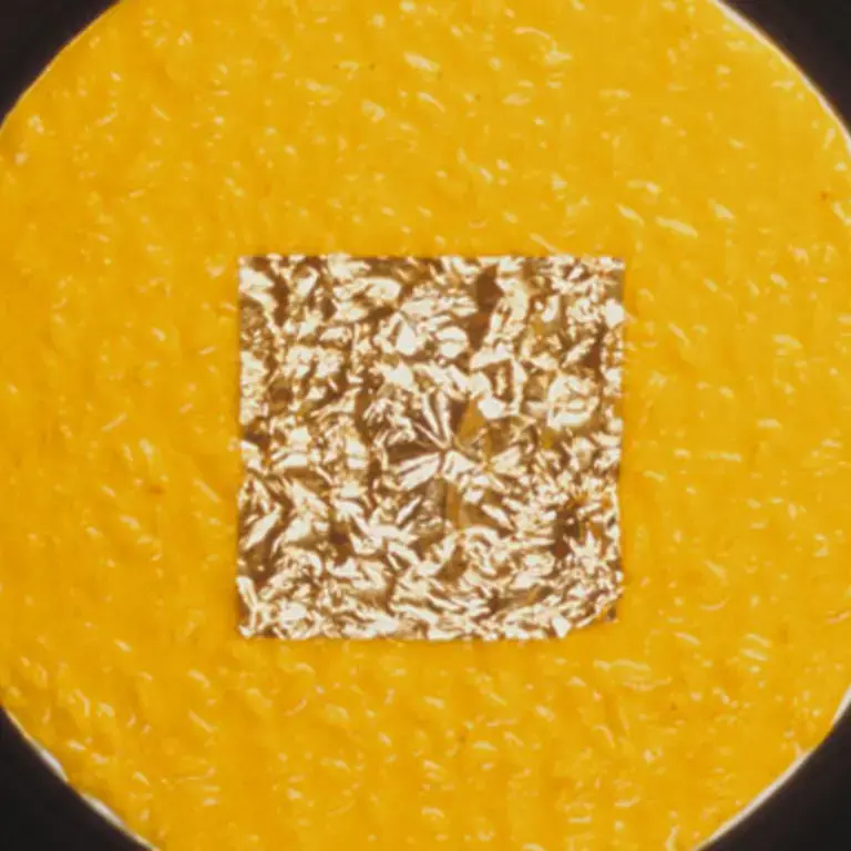 Saffron Risotto With Edible Gold Leaves