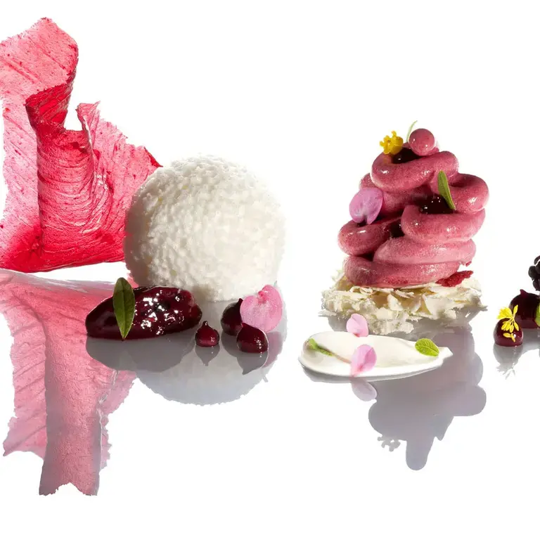 Blackberry and Verbena