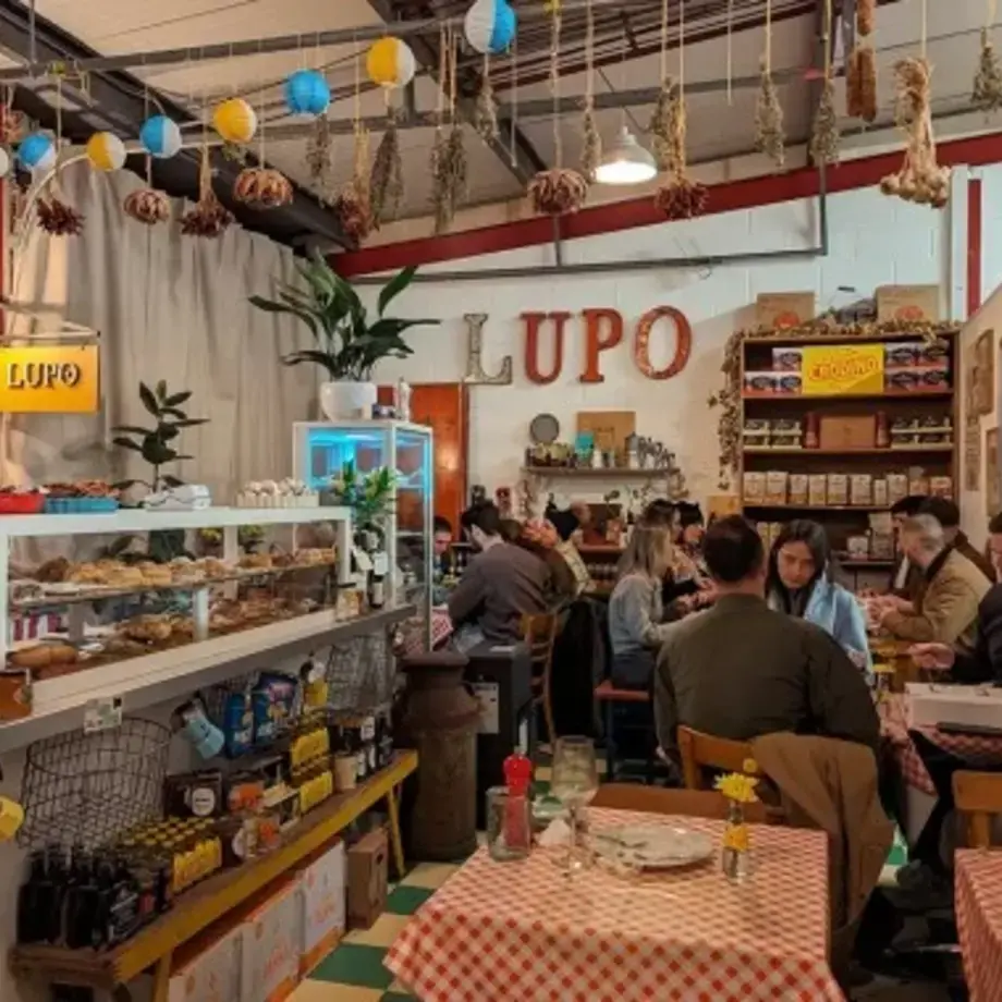 Lupo in Manchester