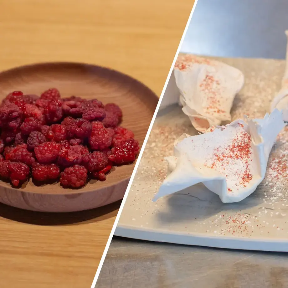 Raspberry Cushion by César Troisgros