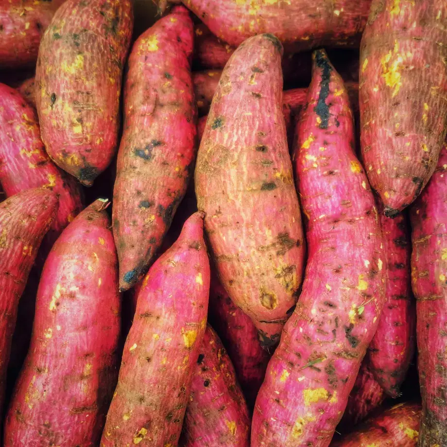 Sweet potatoes with a pink tinge.