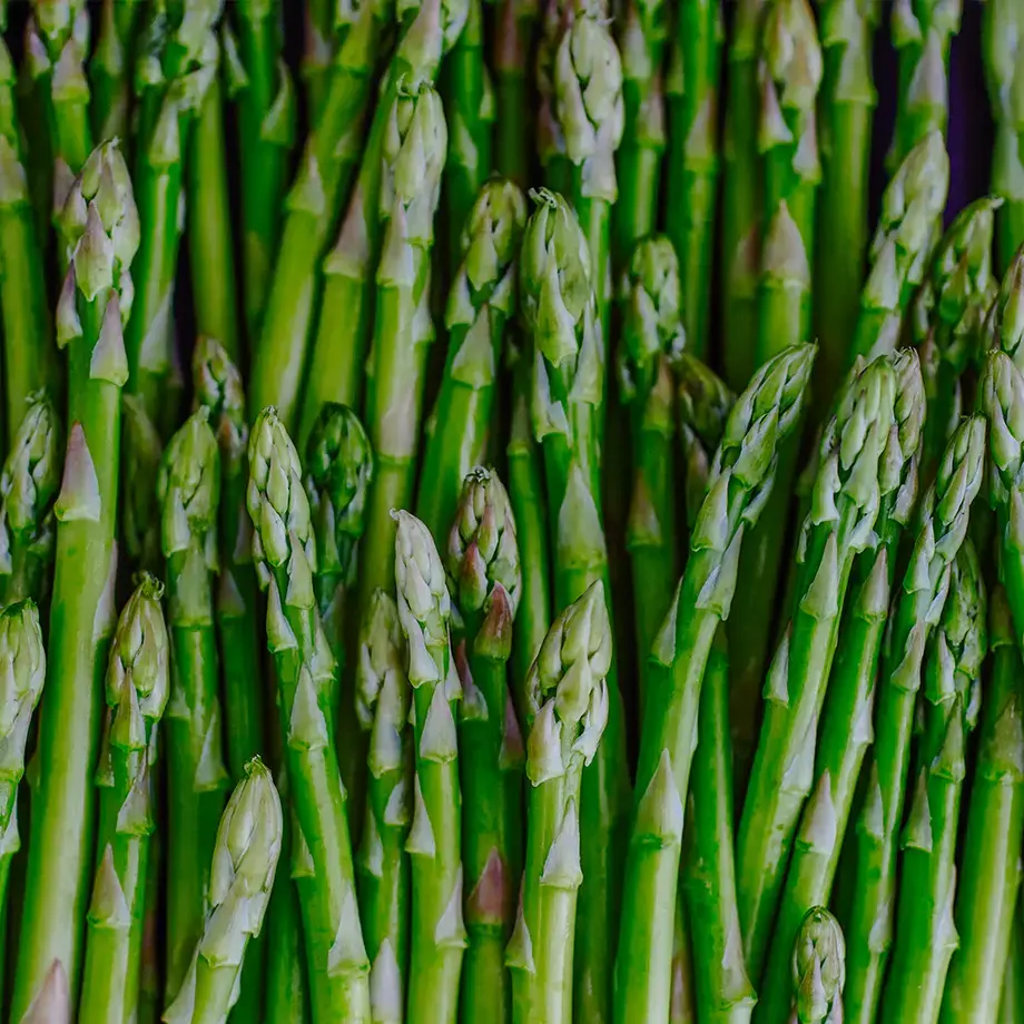 Spears of green asparagus.