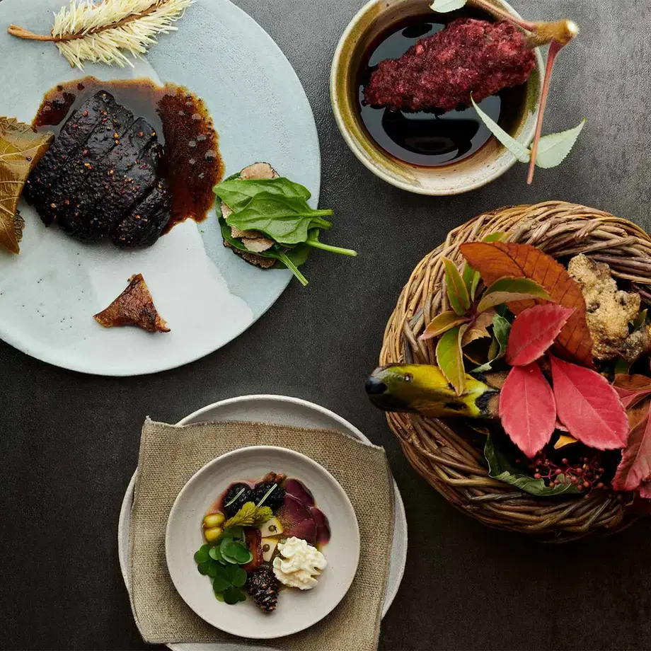 noma