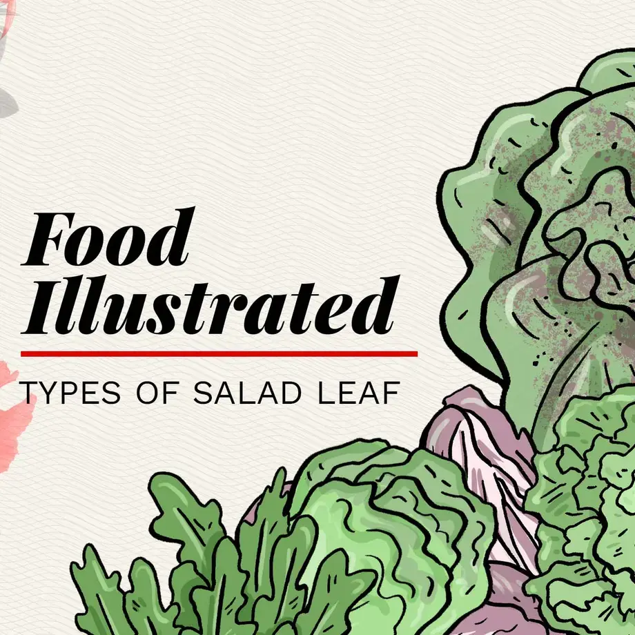 An illustration of salad leaves.
