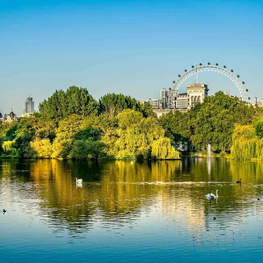 A park and a lake with the London Eye in the background.