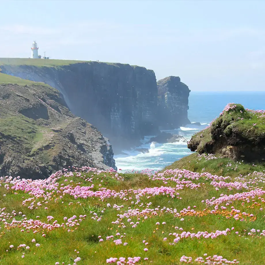 A coastal scene for Michelin Guide UK and Ireland 2023.