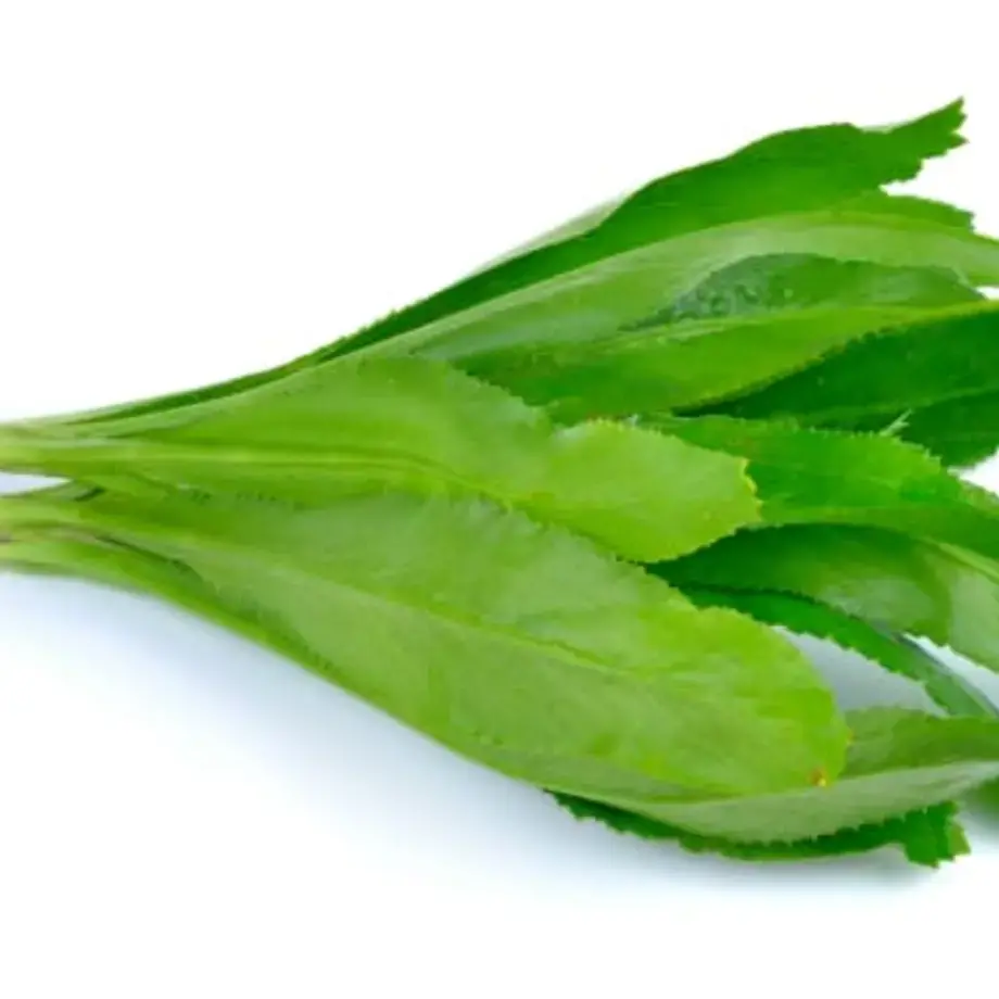 What Is Culantro? Get To Know This Caribbean Herb