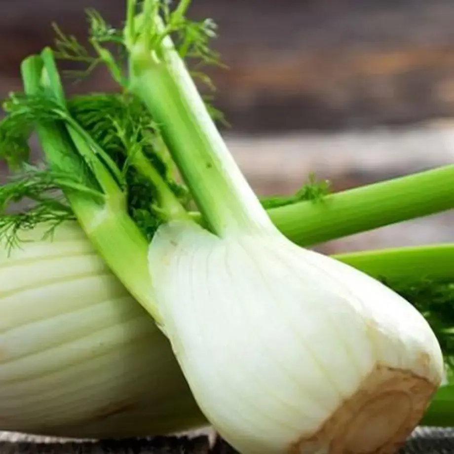 How to Use Fennel: A Beginner's Guide