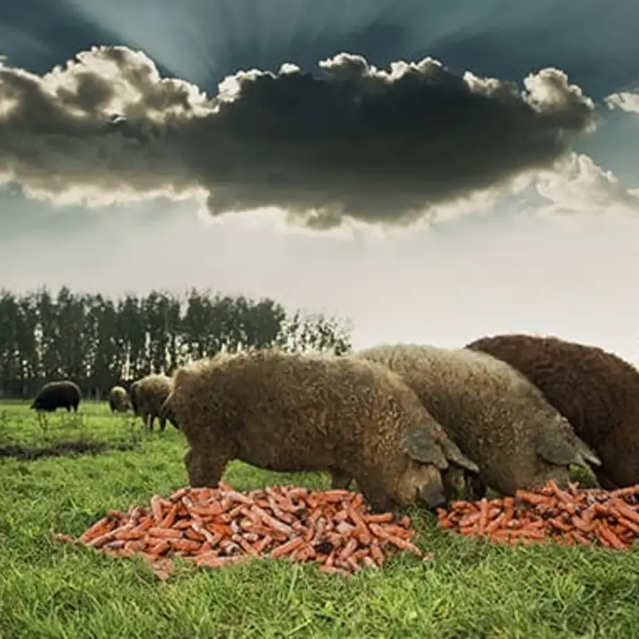 Original_14172_1-kep-b--1-