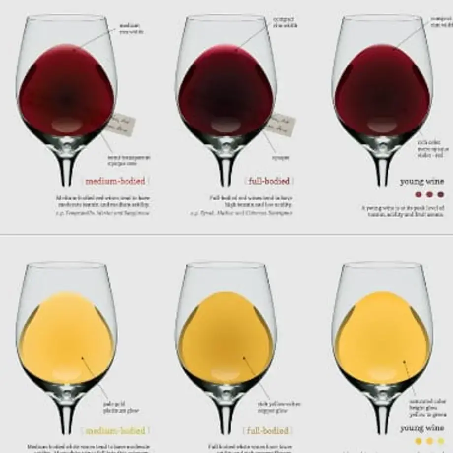 Wine Body and Colour Explained