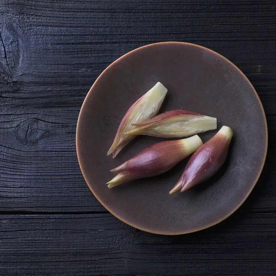 Myoga: What it is and How to Cook with it