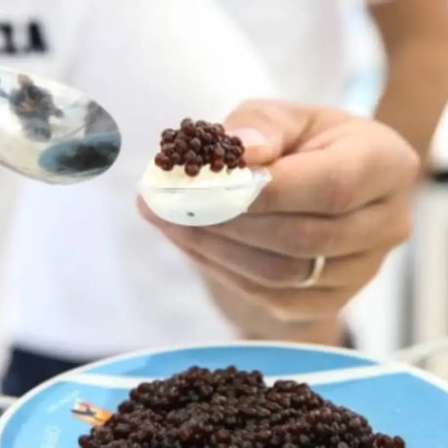 How to Make Coffee Caviar