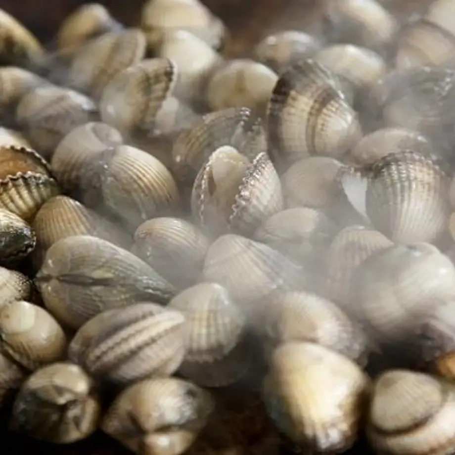 How to Eat Clams: All the Tips and Recipes you Need for Fresh Clams