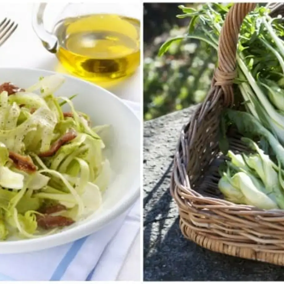 How to Eat Puntarelle: The Roman Delicacy