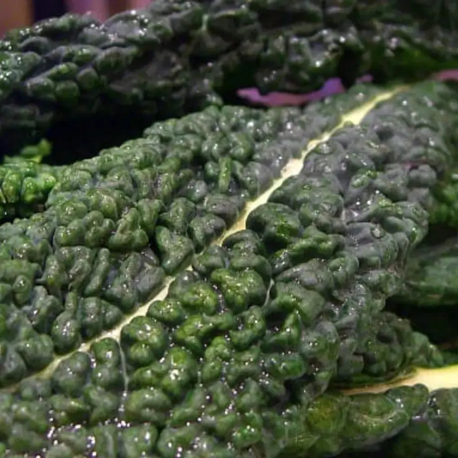 Black Cabbage