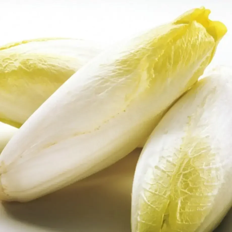 5 Great Ways To Use Belgian Endive