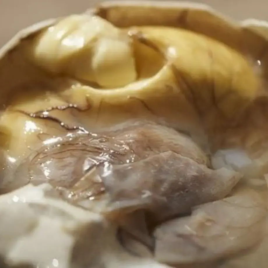 Have You Heard of Balut? Get to Know This Asian Specialty Have You Heard of Balut? Get to Know This Asian Specialty