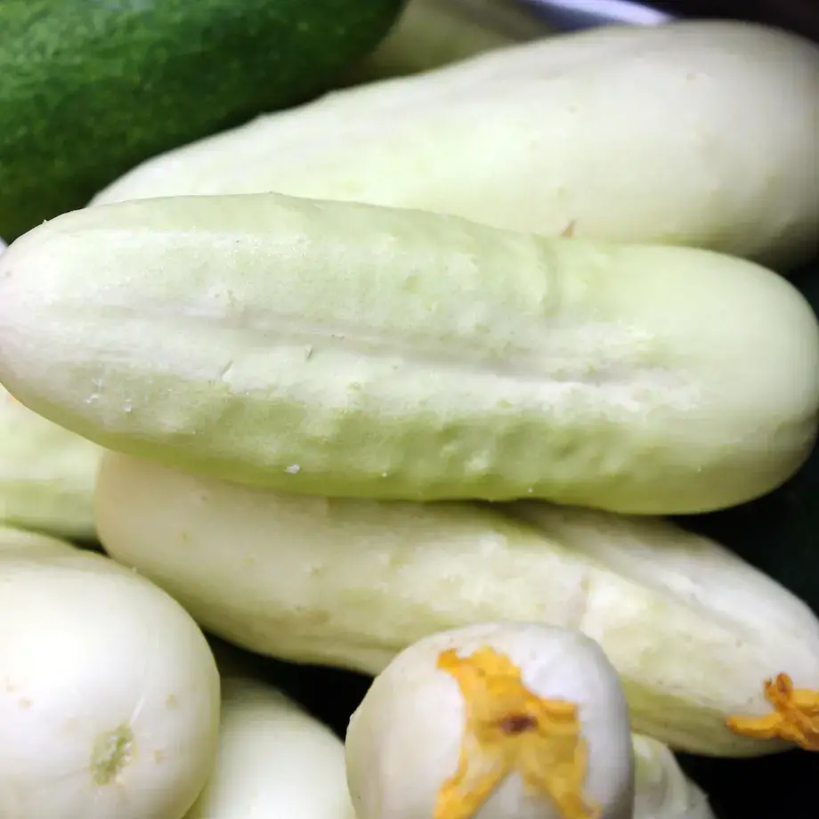 White Cucumbers: How to Eat these White Wonders
