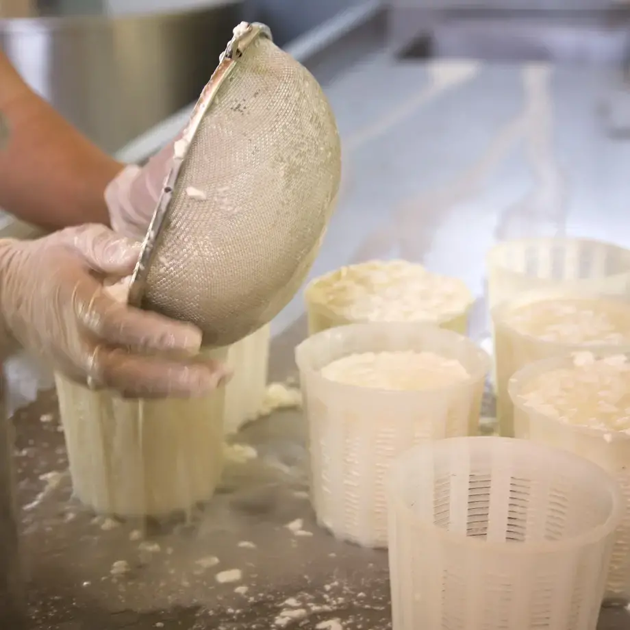 Cheese Making Courses