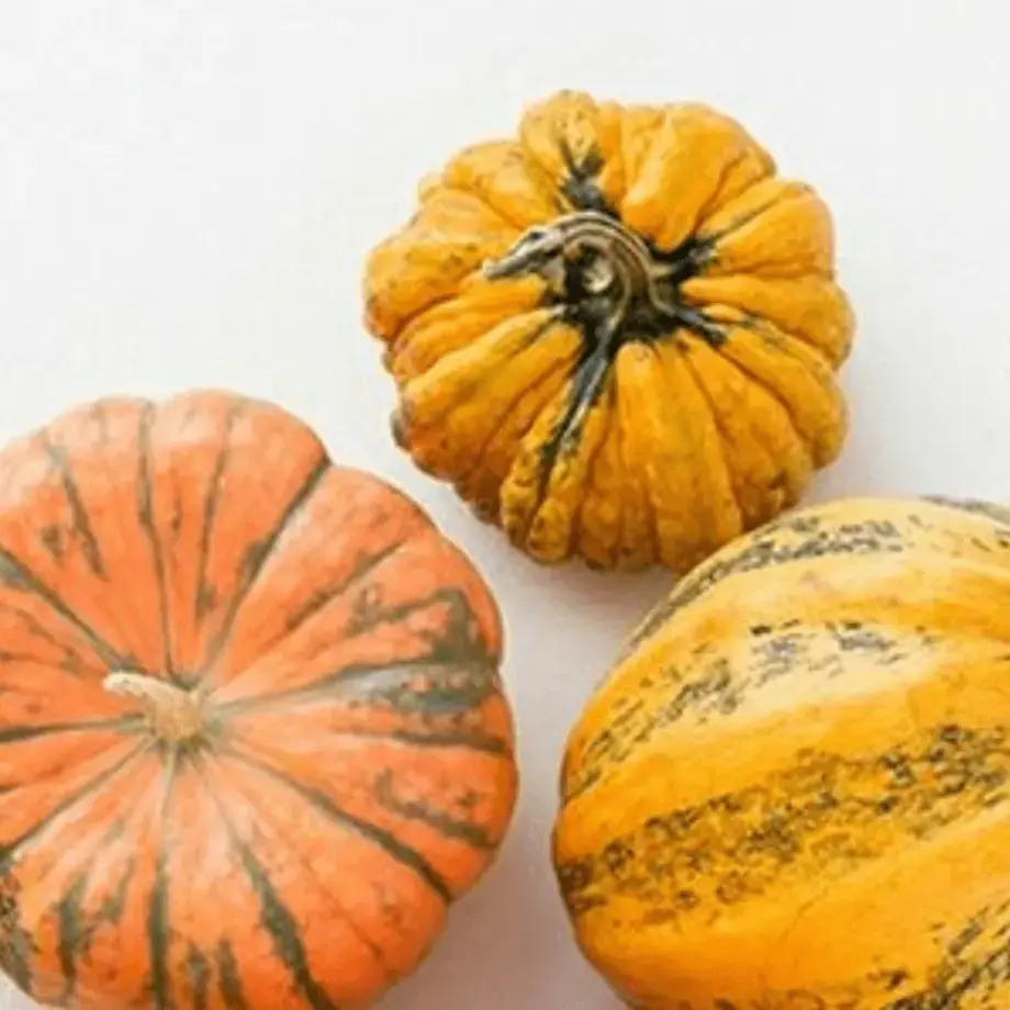 Different Types of Squashes and How to Cook Them