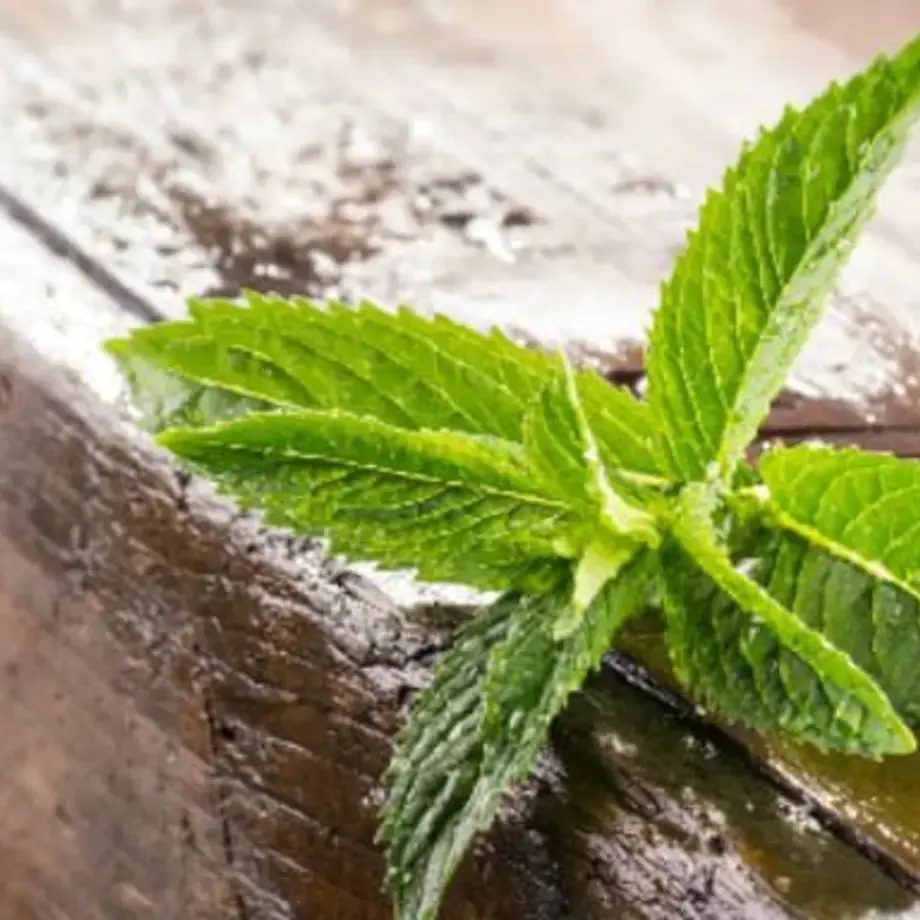 What You Probably Didn't Know About Mint