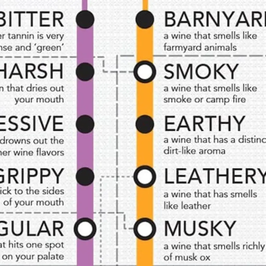 How to Describe Wines