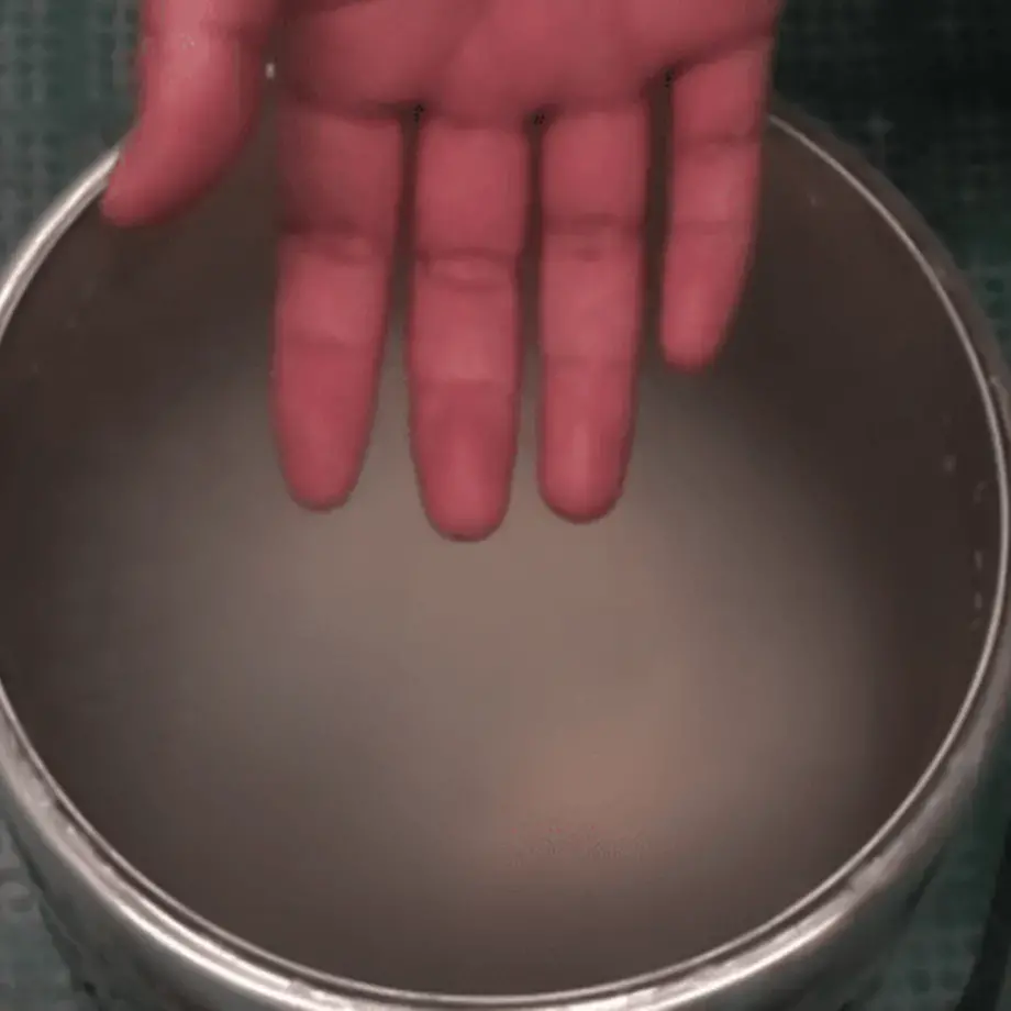 Original_8348_hand.liquid.nitrogen