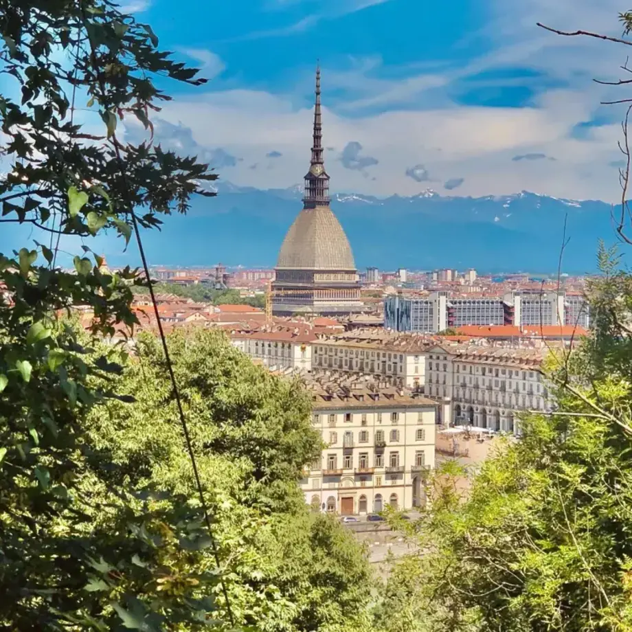 a view of Turin through shrubery